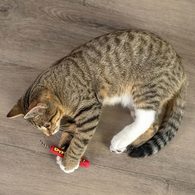 Catstages Green Magic Dynamite Stick Catnip Cat Toy - Image 7