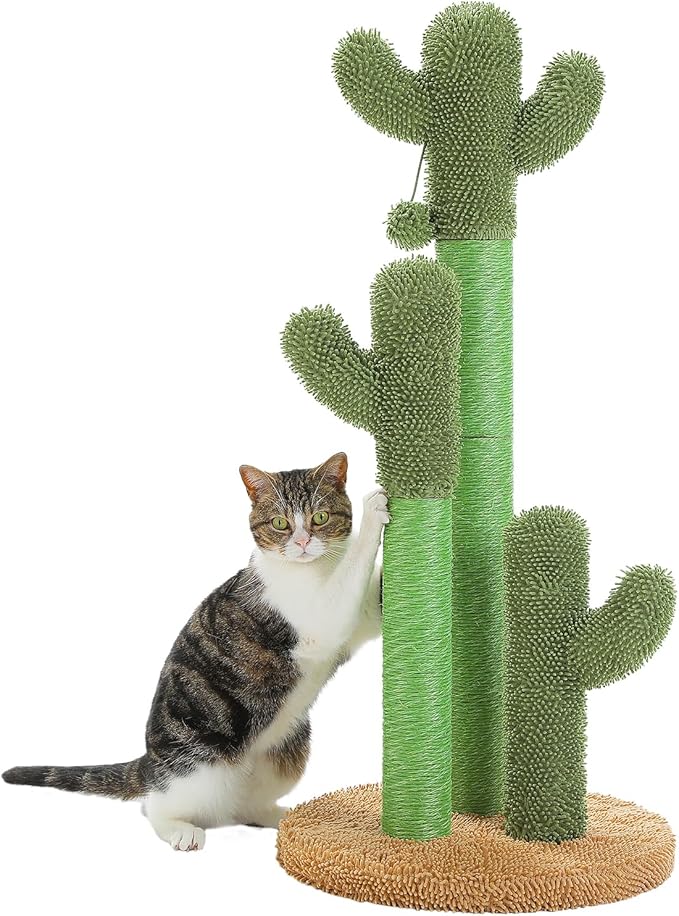 PAWZ Road Cat Scratching Post Cactus Cat Scratcher Featuring by PAWZRoad