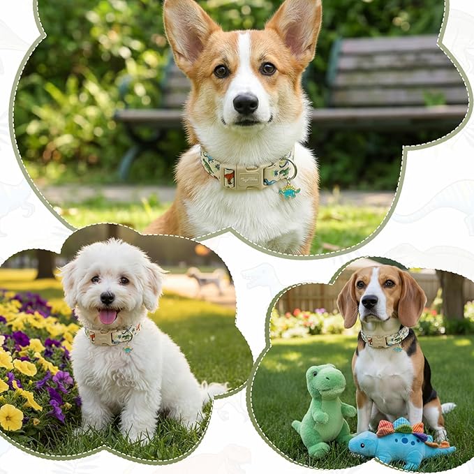 Dinosaur Dog Collar, Cute Boy Dog Collars - Image 6