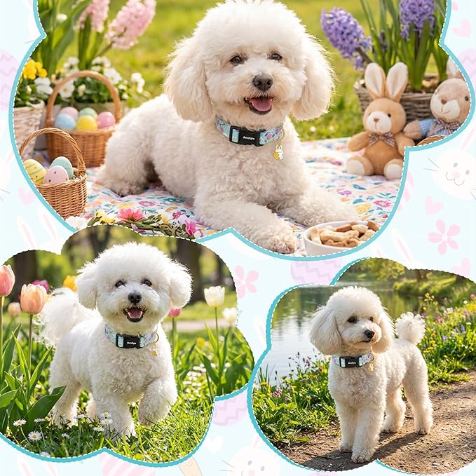 Easter Dog Collar, Spring Easter Egg Print Dog Collar - Image 5