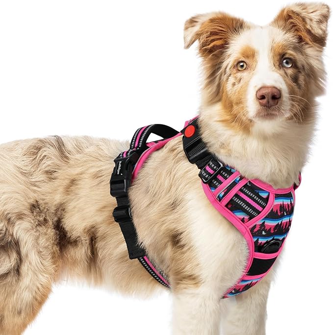 rabbitgoo Dog Harness Medium Sized, No Pull Easy On & Off by rabbitgoo