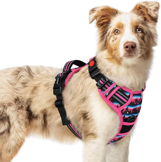 rabbitgoo Dog Harness Medium Sized, No Pull Easy On & Off by rabbitgoo