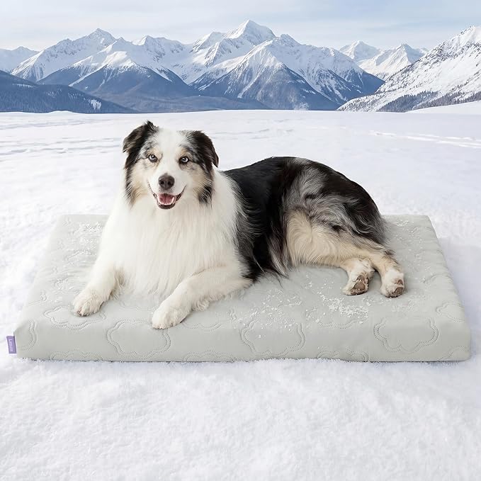 LE SURE Cooling Dog Bed, XL Q-Max>0.5 Cooling Mat by Lesure