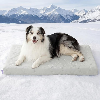 LE SURE Cooling Dog Bed, XL Q-Max>0.5 Cooling Mat by Lesure