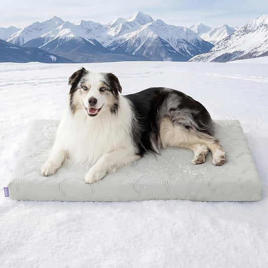 LE SURE Cooling Dog Bed, XL Q-Max>0.5 Cooling Mat by Lesure