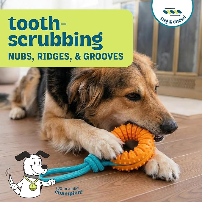 Dental Chew Wheel Dog Toy – Ring & Rope Tug, Soft on Teeth, Moderate Chewers - Image 2