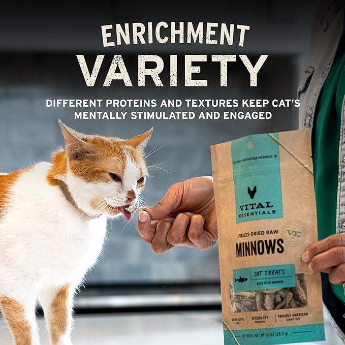 Vital Essentials Freeze Dried Minnows Cat Treats | Single Ingredient | Premium - Image 6