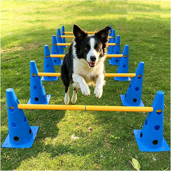 Dog Agility Hurdle Cone Set, Adjustable Height Dog Agility Course by AHAILUOO