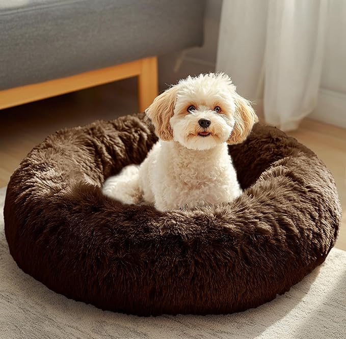JOLLYVOGUE Dog & Cat Bed, Calming Anti-Anxiety Pet Bed by JOLLYVOGUE