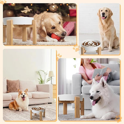 Elevated Slow Feeder Dog Bowl - Image 6
