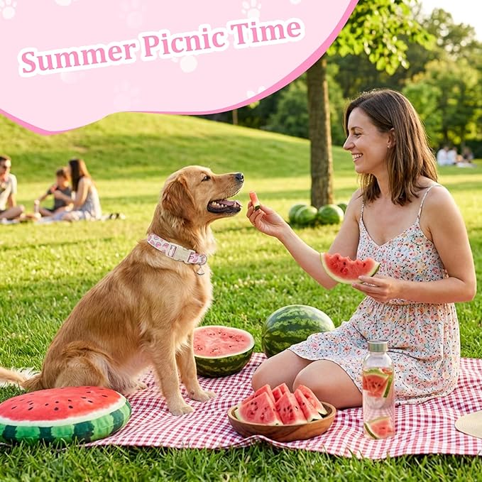 Summer Dog Collar, Cute Pink Dog Collar - Image 5