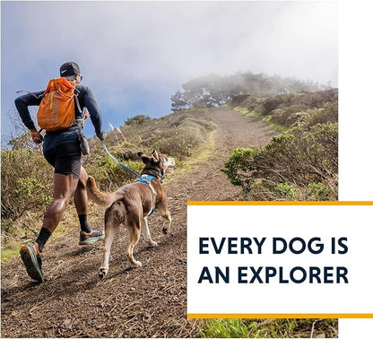 Ruffwear, Hi & Light, Everyday Lightweight Dog Harness, Trail Running, All-Day - Image 9