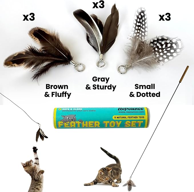 Forever Stick and 9 Cat Feather Toy Refills - Image 6