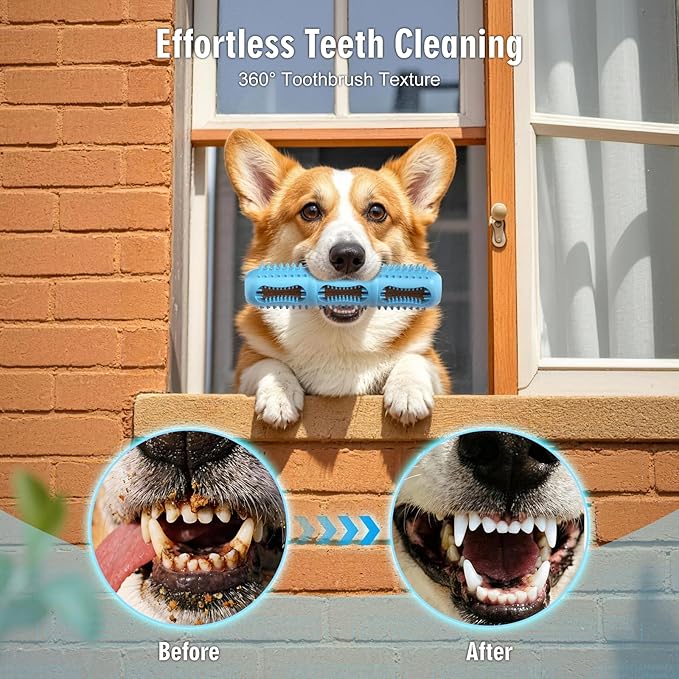 3 Pack Dog Chew Toys, Dog Toothbrush Toy - Image 3