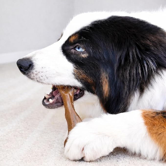 Nylabone Strong Chew Femur Bone Dog Toy Made - Image 5