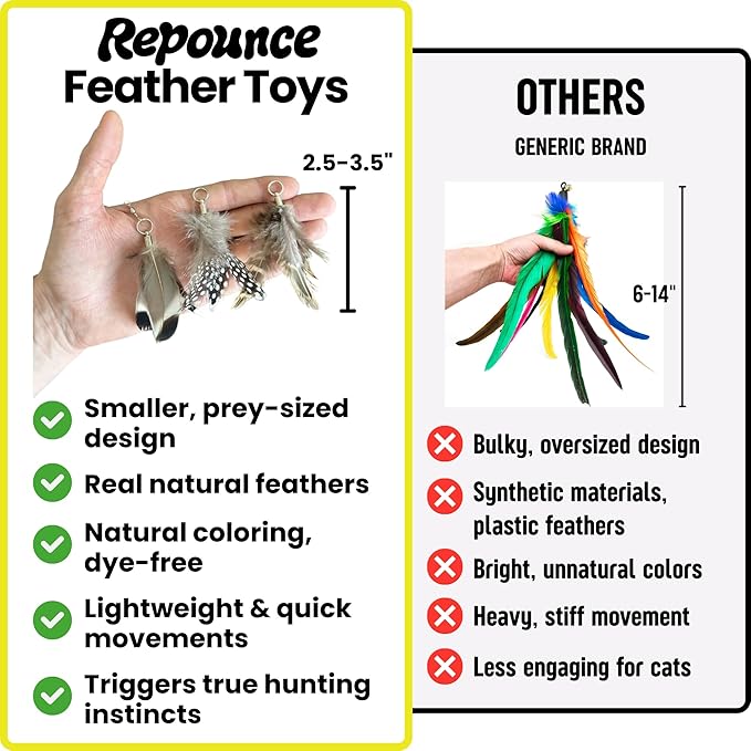 Forever Stick and 9 Cat Feather Toy Refills - Image 4
