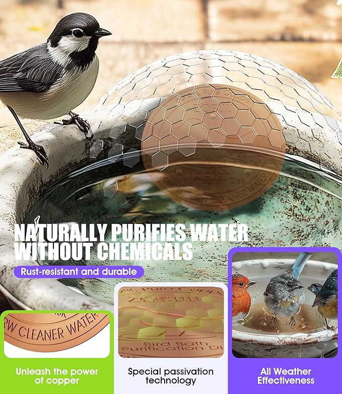 2 Pack Bird Bath Copper Disk, 0.6mm Thickness 99.9% Pure Copper Bird Bath - Image 4