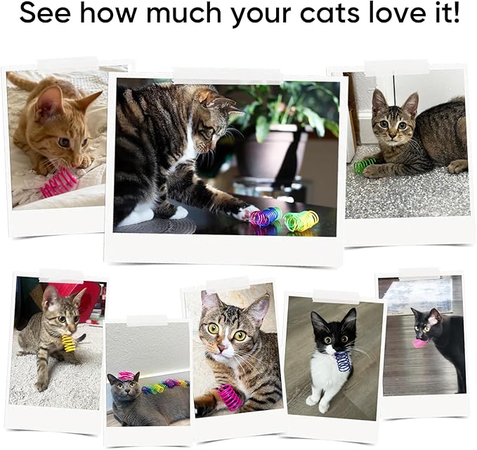 6Colors Plastic Spring Cat Toys, 30 Pack Spiral Springs - Image 5
