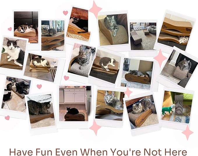 Cat Scratcher 2 in 1 Scratchers - Image 9