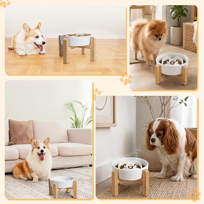 Elevated Slow Feeder Dog Bowl - Image 6