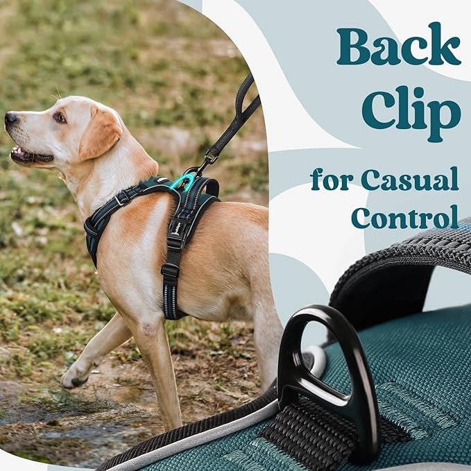 rabbitgoo Dog Harness Small Sized, No Pull Easy On & Off - Image 6