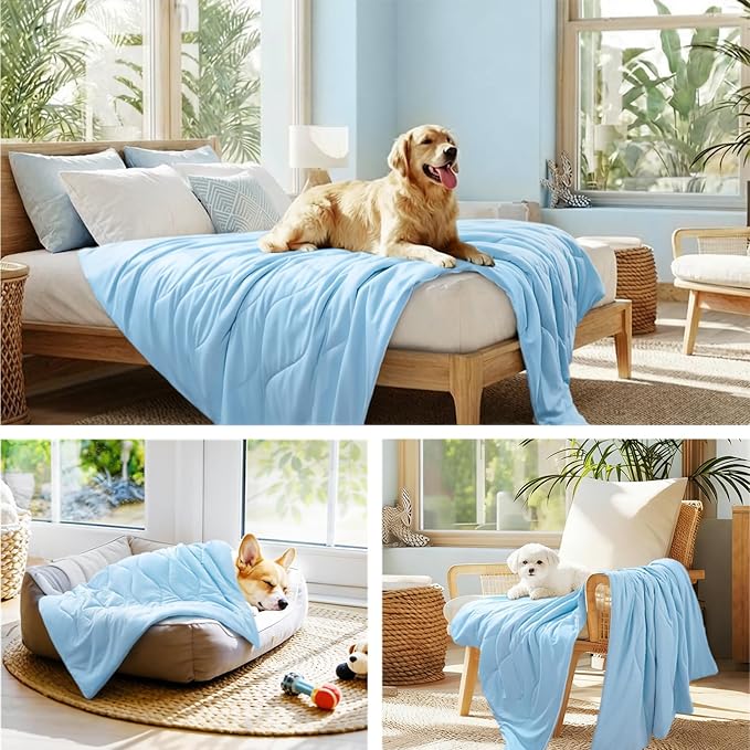 Luciphia Premium Cooling Dog Blanket Washable Q-MAX>0.5 Small Medium Large Pet - Image 5