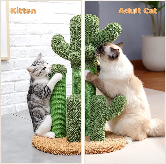 PAWZ Road Cat Scratching Post Cactus Cat Scratcher Featuring - Image 6