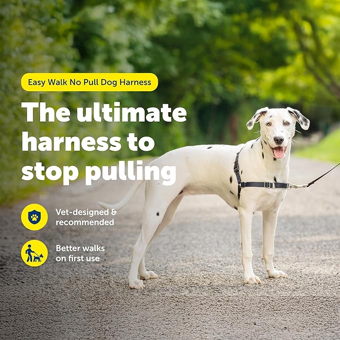 PetSafe Easy Walk No-Pull Dog Harness - Image 2