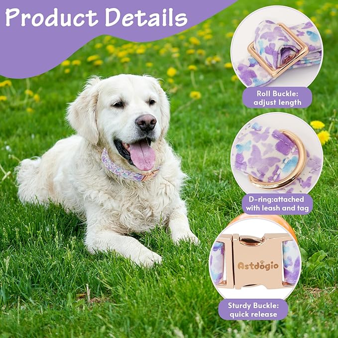 Elegant Butterfly Dog Collar, Gradient Purple Blue Dog Collars - Image 3
