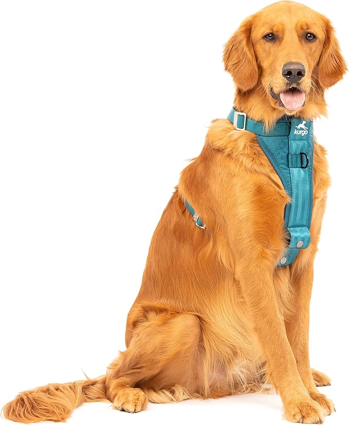 Kurgo Ink Blue Large Dog Harness by Kurgo