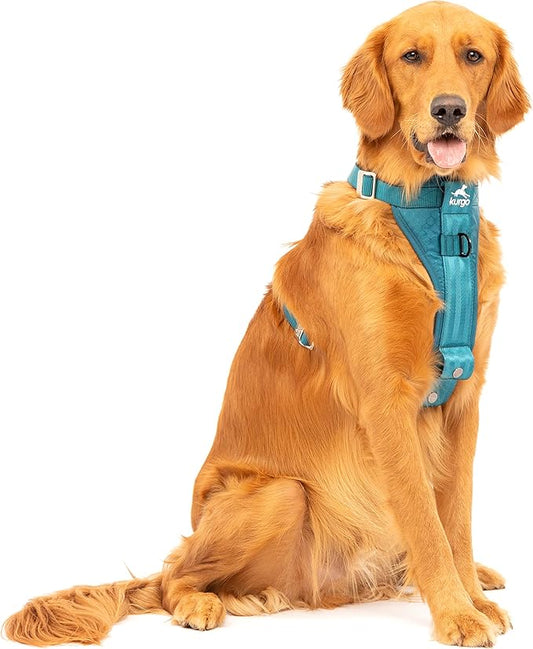 Kurgo Ink Blue Large Dog Harness by Kurgo