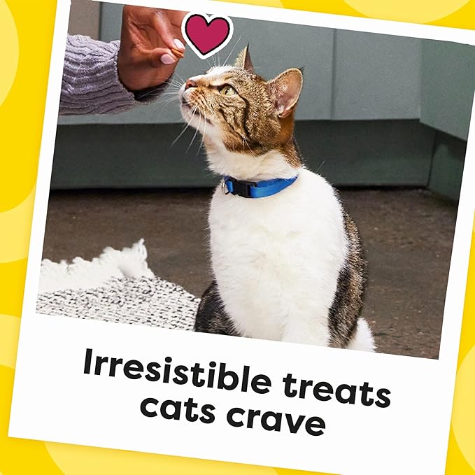 Temptations Cat Treats Classic Crunchy and Soft Cat Treats, Tasty Chicken Flavor - Image 10