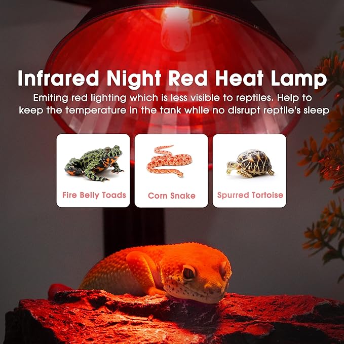 Briignite G9 Infrared Heat Lamp Bulbs - Image 3