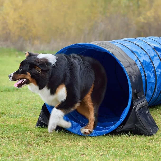 Briwooody 24 in 10 Foot PVC Dog Agility Tunnel - Image 7