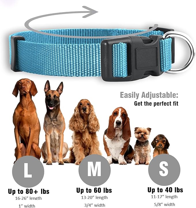 Native Pup Basic Nylon Dog Collar, Adjustable - Image 3