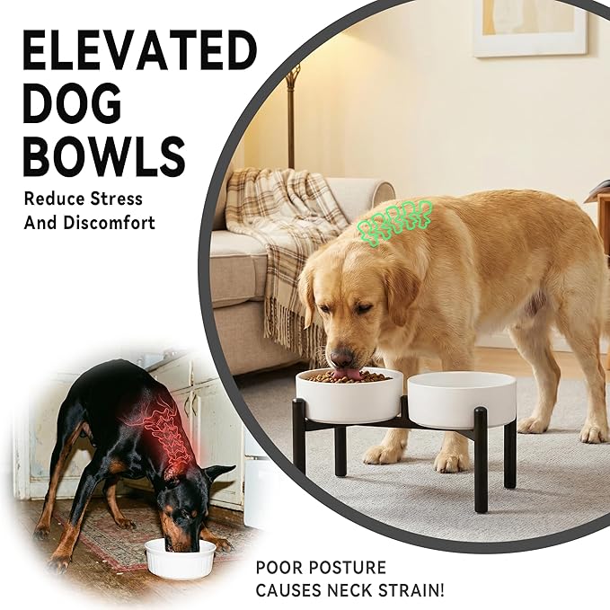 Dog Bowls Elevated - Image 6