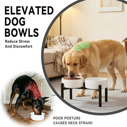 Dog Bowls Elevated - Image 6