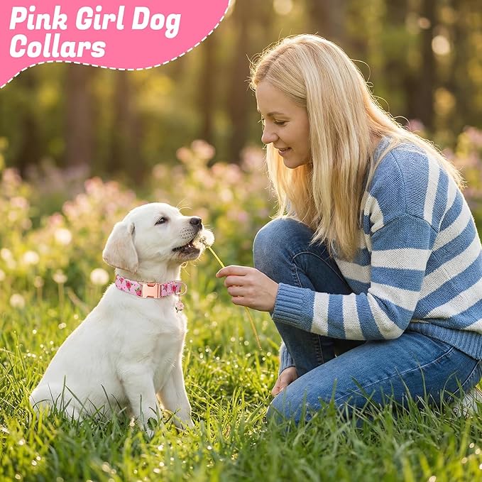 3 Pack Pink Dog Collars for Small Dogs Girl Dog Collar - Image 7