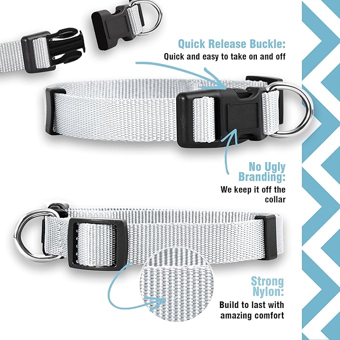 Native Pup Basic Nylon Dog Collar, Adjustable - Image 4