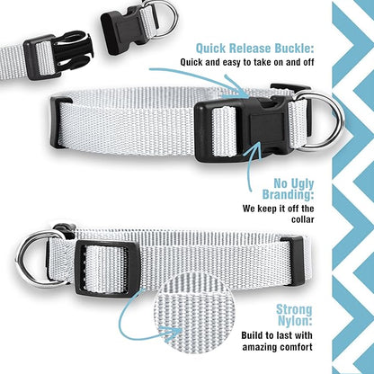 Native Pup Basic Nylon Dog Collar, Adjustable - Image 4