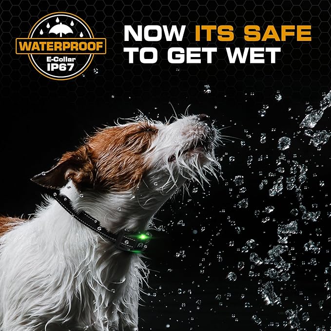 INVIROX 2026 Edition Dog Training Collar - Image 3