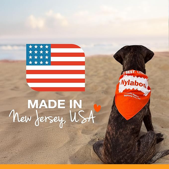 Nylabone Puppy Chew Knuckle Bone - Image 10