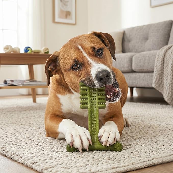 SPOT Bam-Bones Plus Toothbrush Dog Chew Toy - Image 6