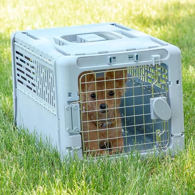 SportPet Designs Collapsible X-Small Pet Travel Carrier, Hard-Sided Kennel - Image 5
