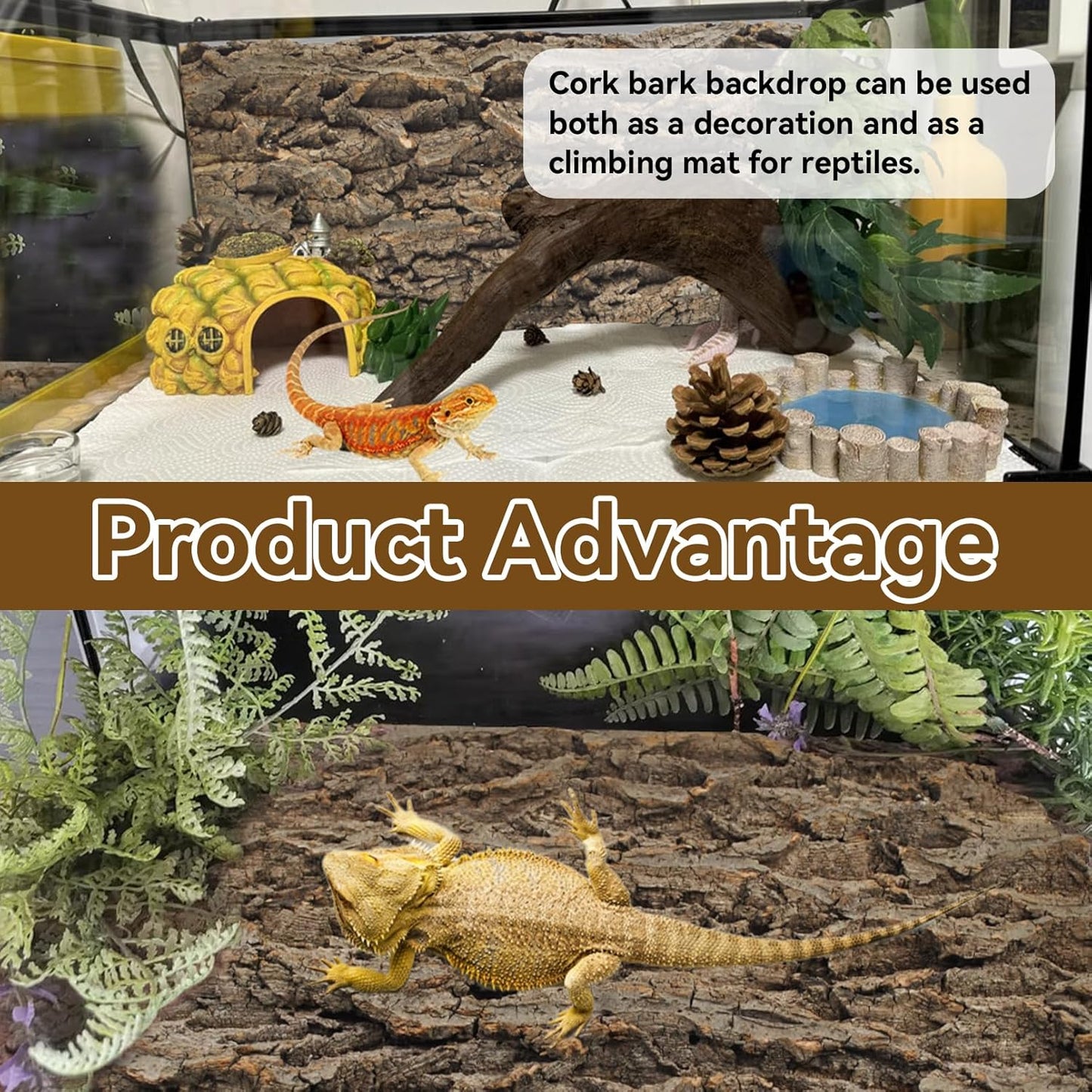 2PCS Reptile Cork Bark Background,15.74 x 11.81 Inch Natural Cork Wood Terrarium Background Bearded Dragon Tank Bark Backdrop Wall Decor for Lizard Gecko Chameleon Tortoise Snake Spider Frog