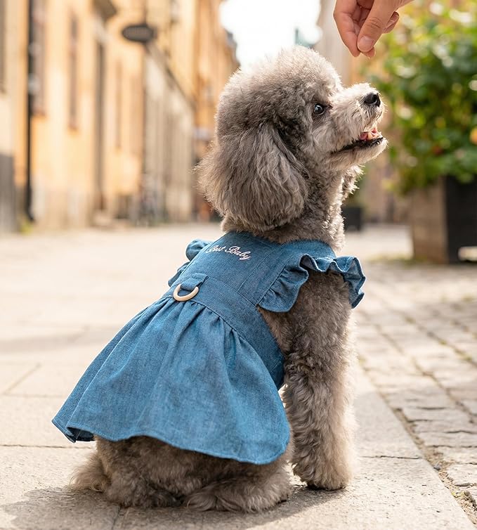 Denim Cat Dog Dress Clothes for Small Dogs - Image 2