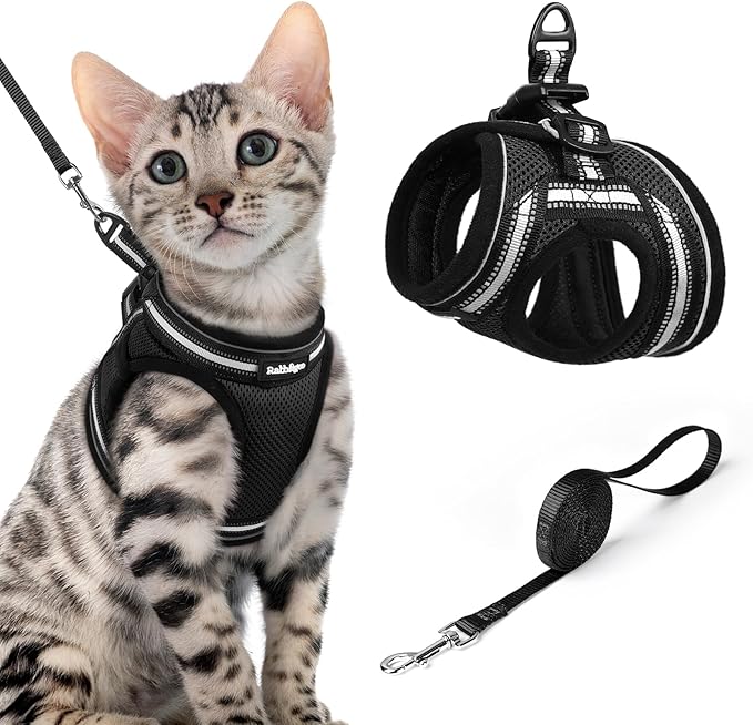 rabbitgoo Cat Harness and Leash, Step-in Escape Proof Kitten Harness Set by rabbitgoo