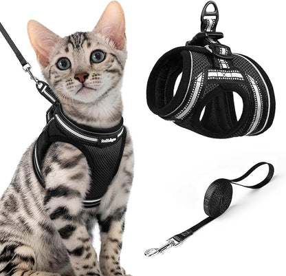rabbitgoo Cat Harness and Leash, Step-in Escape Proof Kitten Harness Set by rabbitgoo