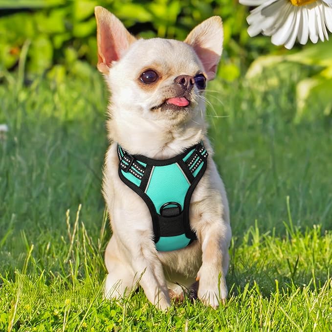 rabbitgoo Dog Harness No Pull - Image 8