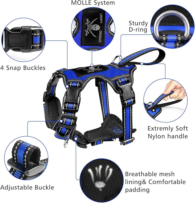 WINSEE All-in-One Reflective Dog Harness, Collar & Leash Set, No Pull - Image 3